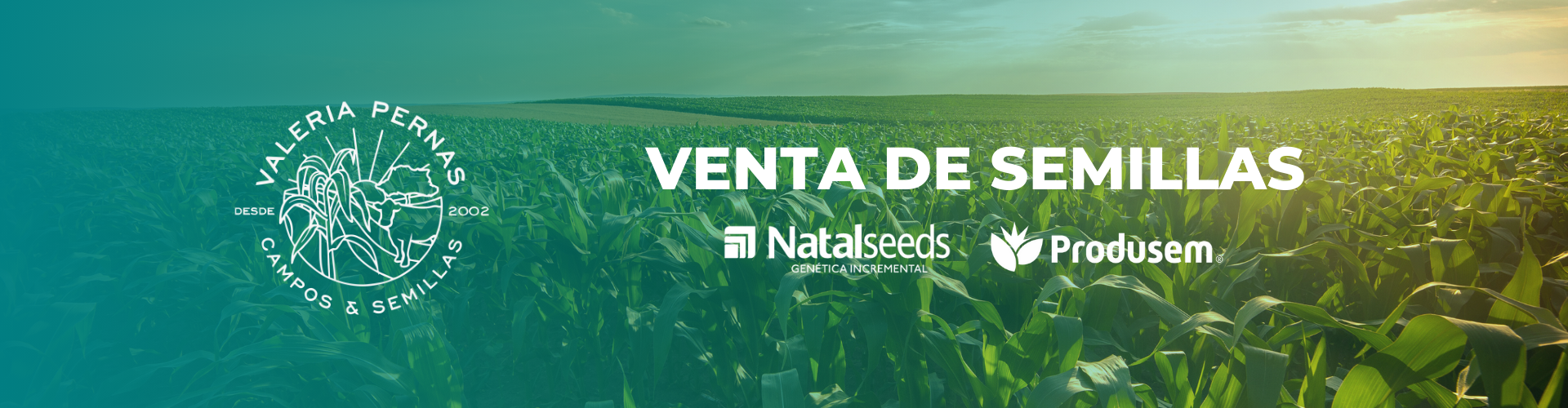 Slide Semillas Valeria Pernas Slide Semillas