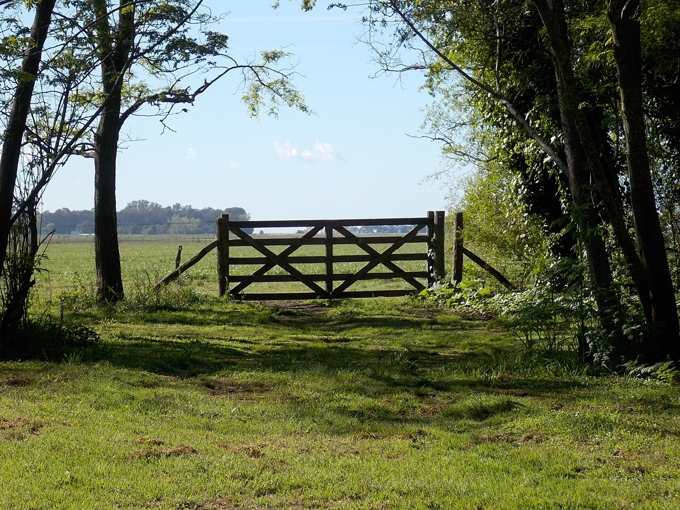 Venta de Campos