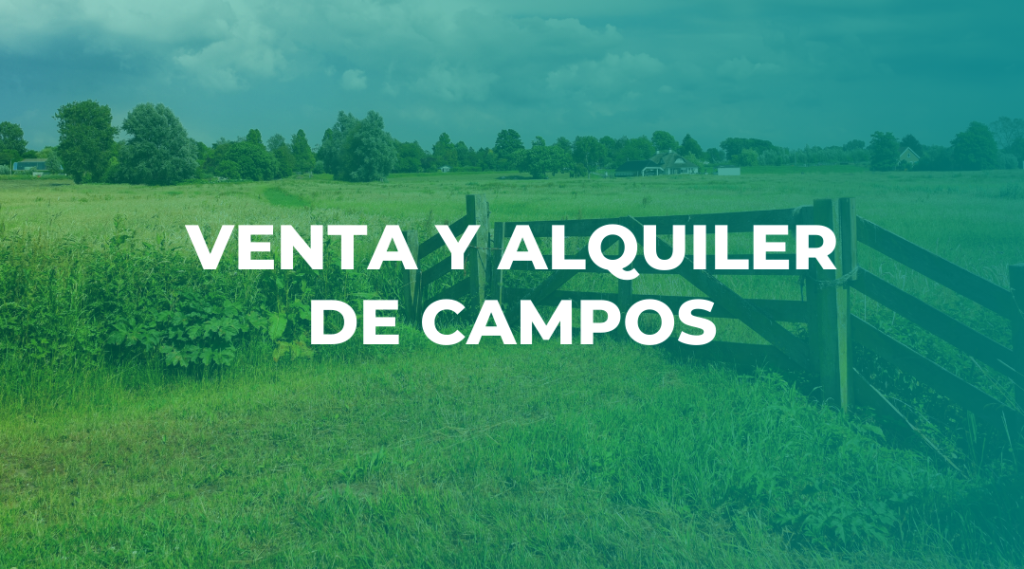 Slide Venta de Campos en Mobile