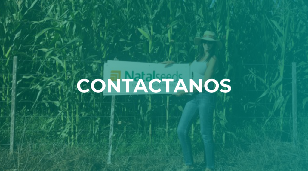 Slide Contacto Mobile